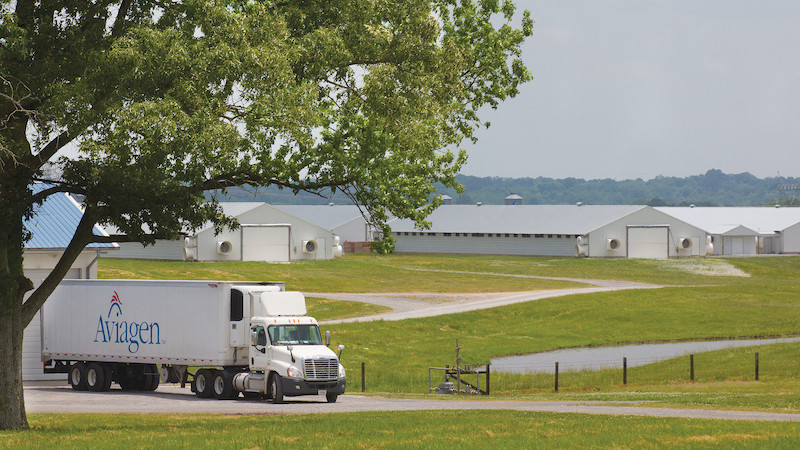 Visão para o futuro