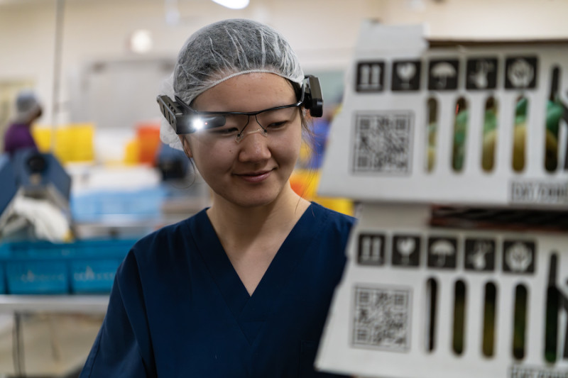 A biossegurança é fundamental