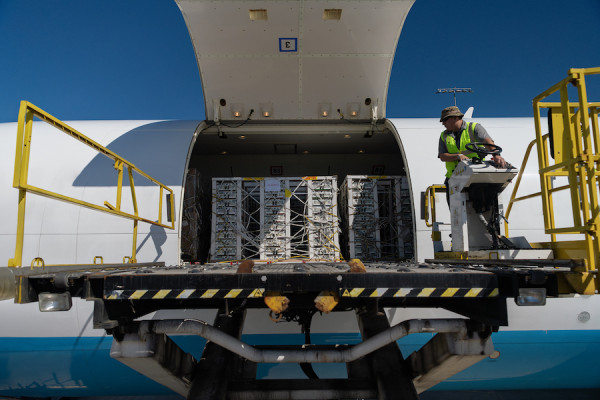 Chick boxes being loaded on plane