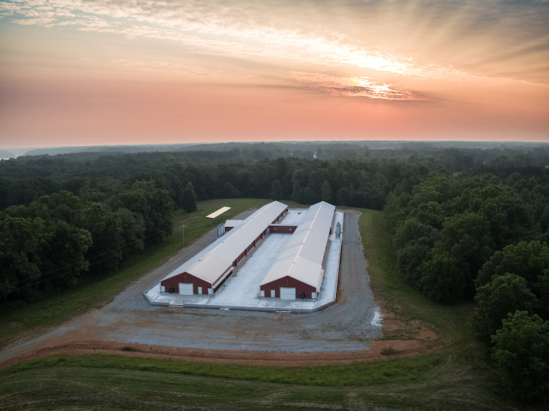 Continuamos a jornada