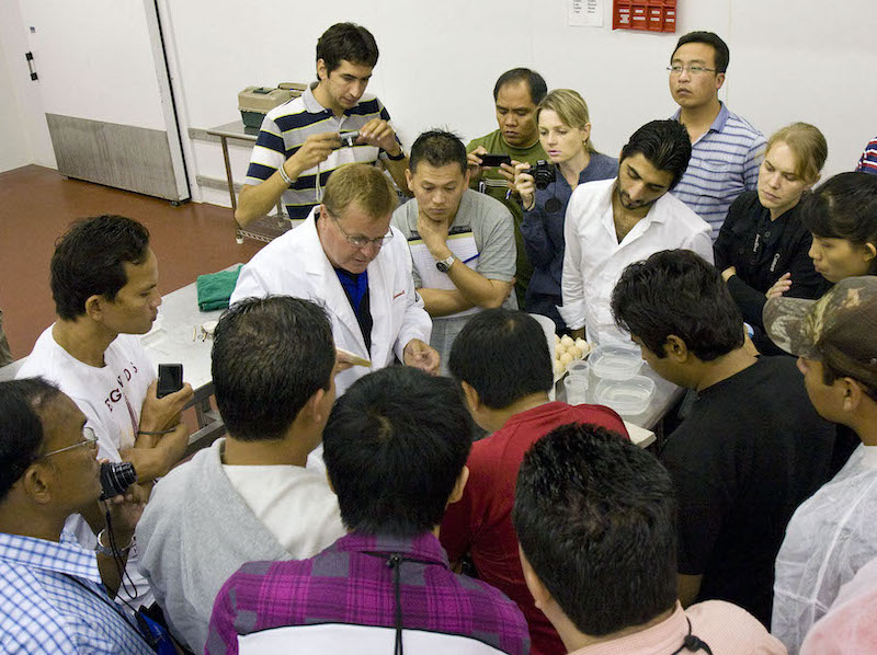 Criando o sucesso juntos