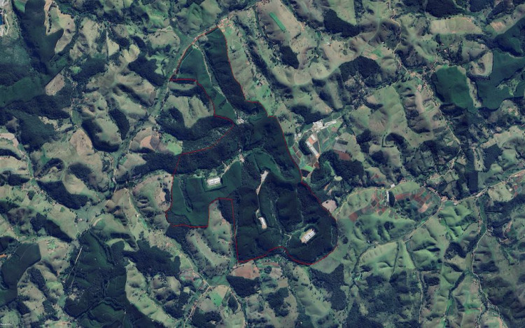 Aviagen farm in Sao Paulo, Brazil, practices forest conservation