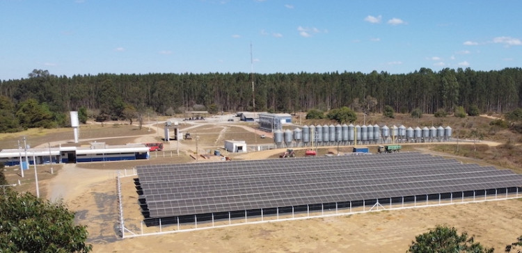 Solar panels at Aviagen Uberaba farm in Brazil