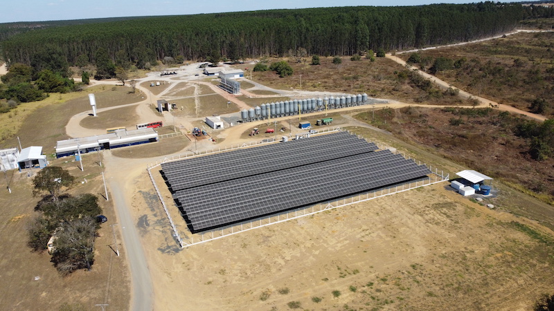 Energía limpia, bosques verdes: Aviagen Brasil vive su compromiso con la sostenibilidad
