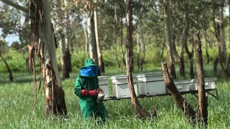 Construcción de un futuro más ecológico: Destaque de la región TMEA