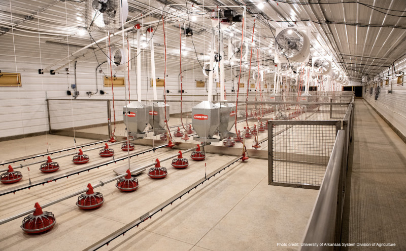 Inside of Farm