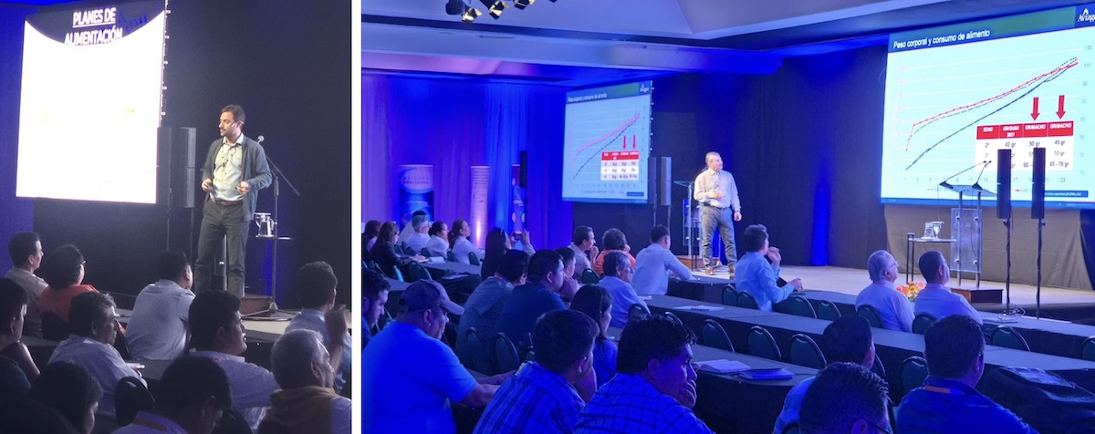 Rodrigo D’Amen and João Heron Ribeiro speaking at event