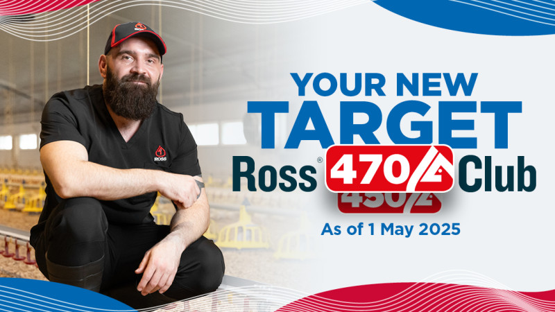 Ross Broiler Performance, Welfare and Sustainability on the Rise – Aviagen Introduces Ross 470 Club 