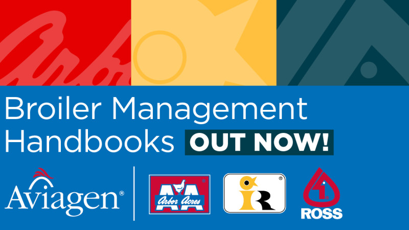 Latest Arbor Acres, Indian River and Ross Broiler Management Advice Now Available!