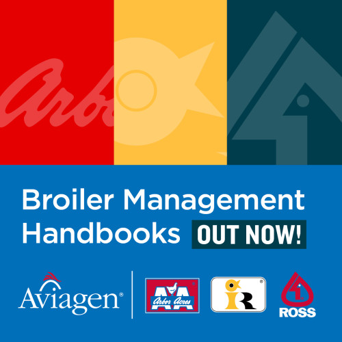 Broiler Management Handbook Graphic