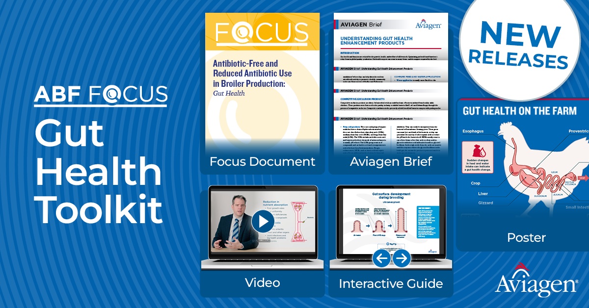 Aviagen Tool Kit: Gut Health graphic