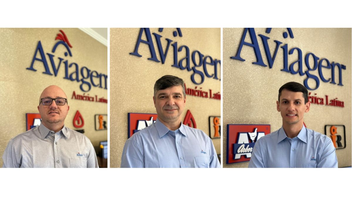 New Employees in Brazil: Ivan Fábio Filippini, Mauro César Piotto de Lima, and Almir da Silva Rocha