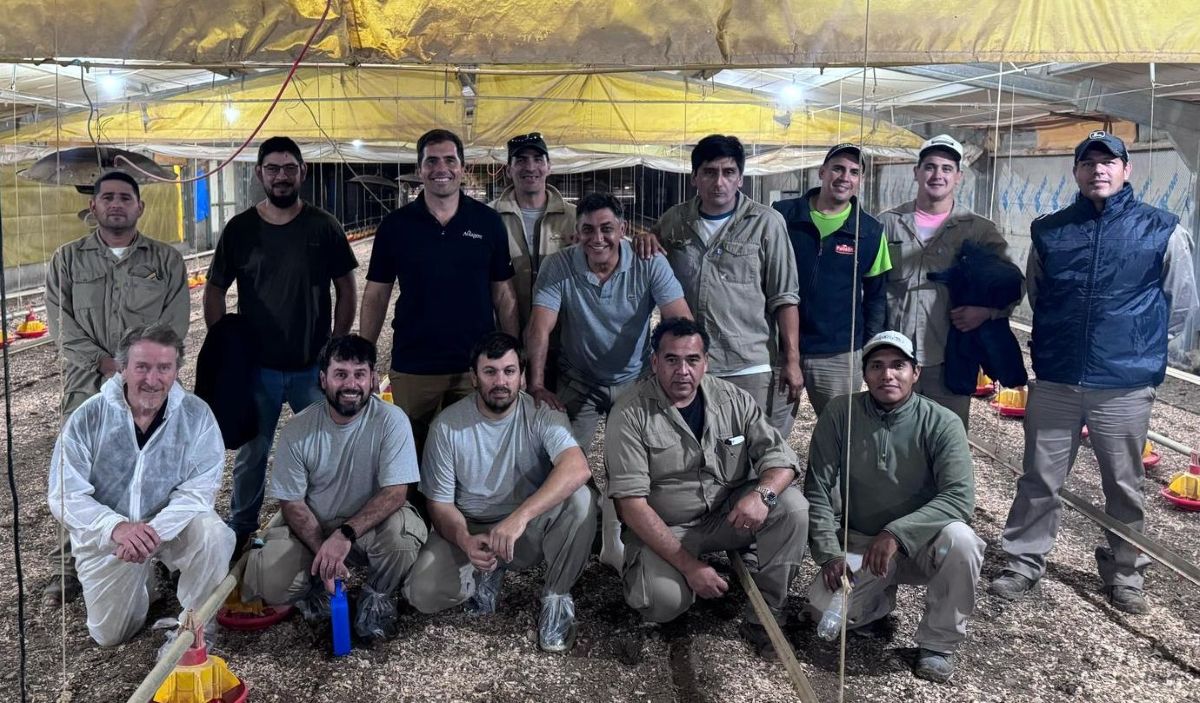 Aviagen Argentina and Pollolin Group