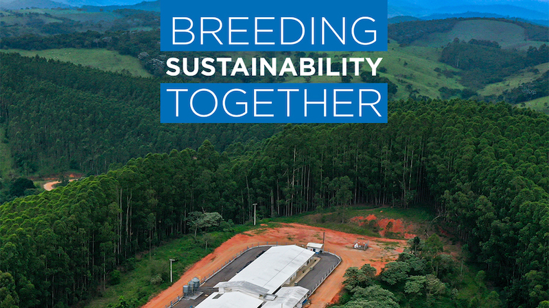 2023 Sustainability Report: Aviagen’s Global Commitment in Action