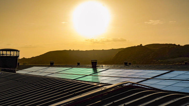 Breeding Sustainability into Everyday Progress: Aviagen Launches 2024 Sustainability Report