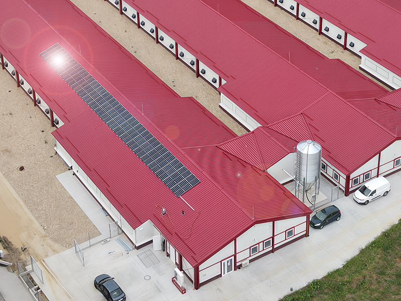 Criando a inovação