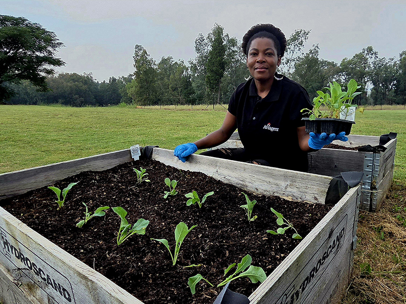 East and South Africa