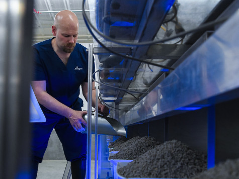 Aviagen specialtist working with feed